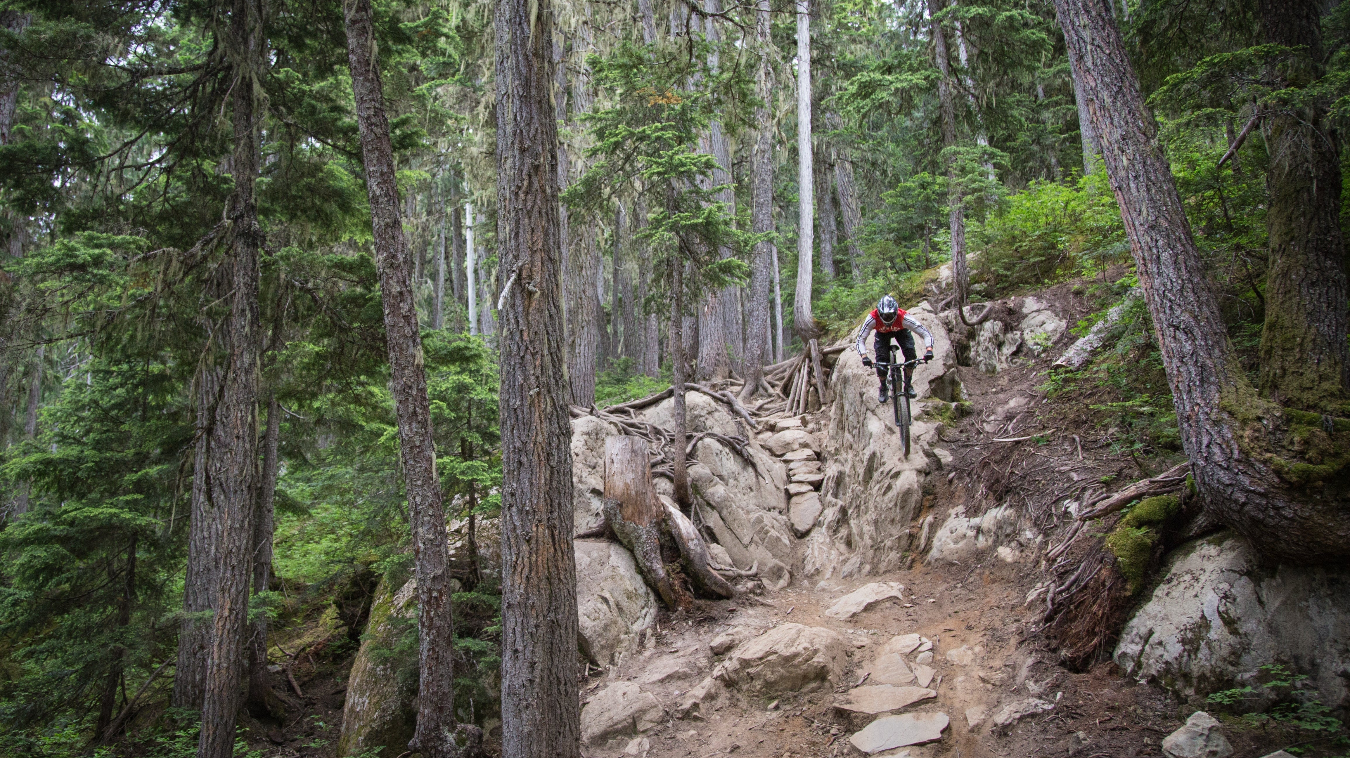 Air Shocks vs Coil Shocks: Which Is Right for BC Riding? A Complete Guide for Mountain Bikers