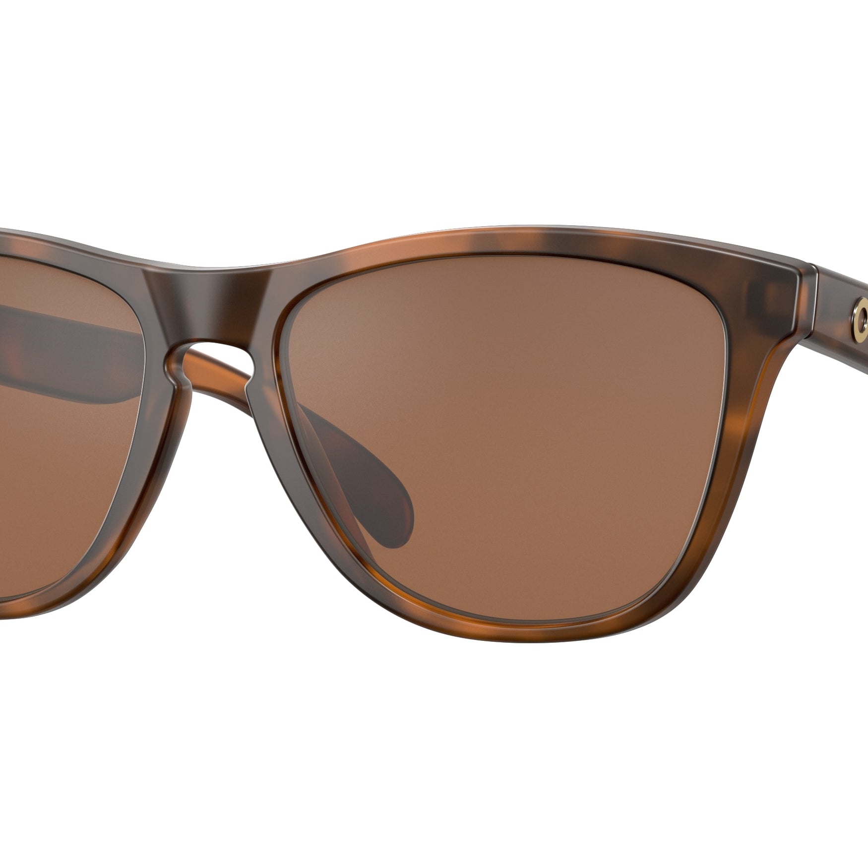 Oakley Frogskins Sunglasses