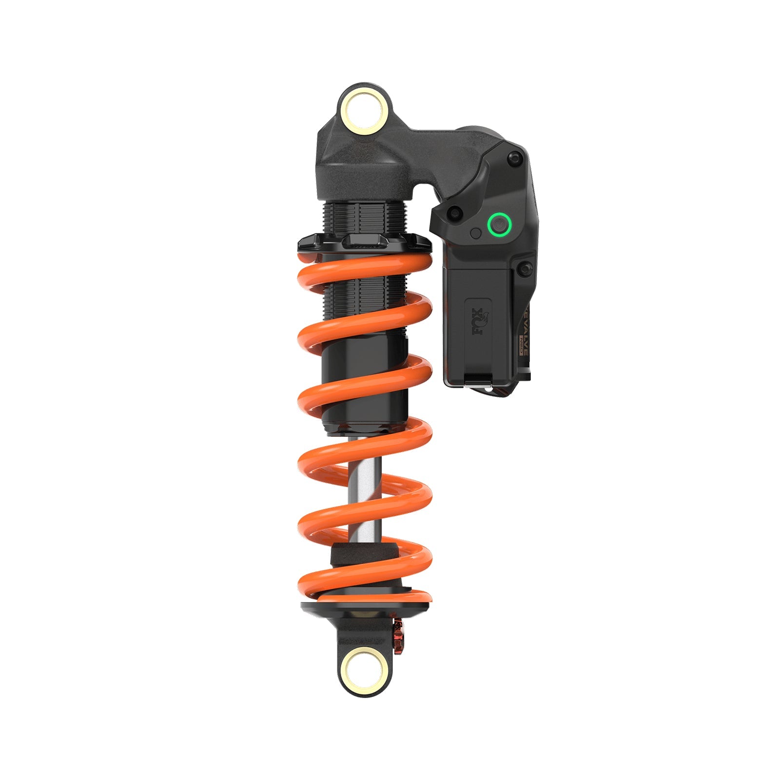 DHX_LV_NEO_Rotations_0005_DHX-