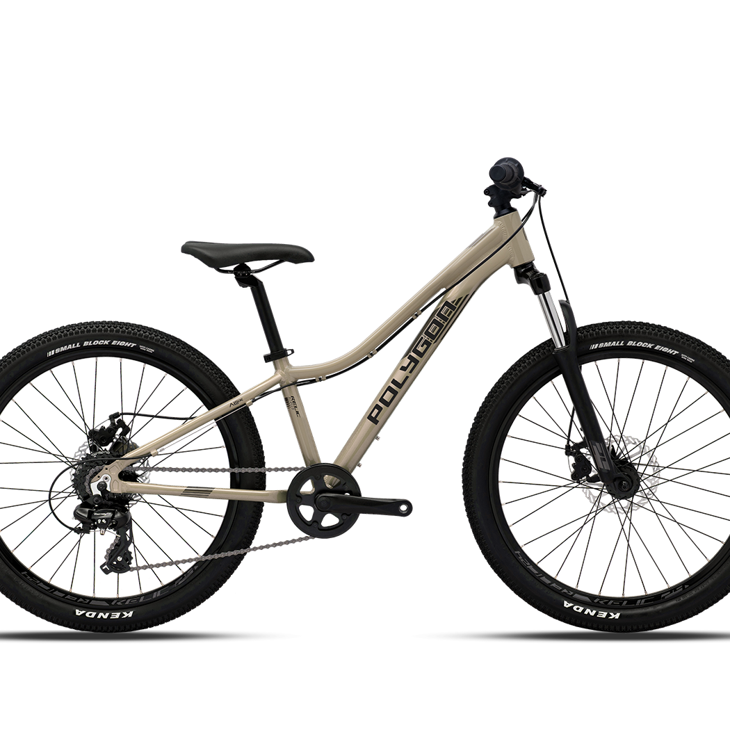 2026 Polygon Relic24