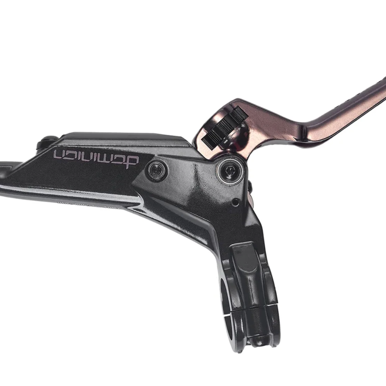 Hayes Dominion Master Cylinder + Brake Lever