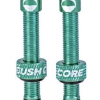 Cushcore Valve Stem