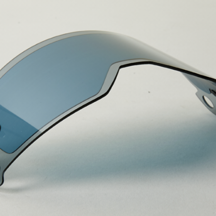 Fox Vue Dual Pane Lens