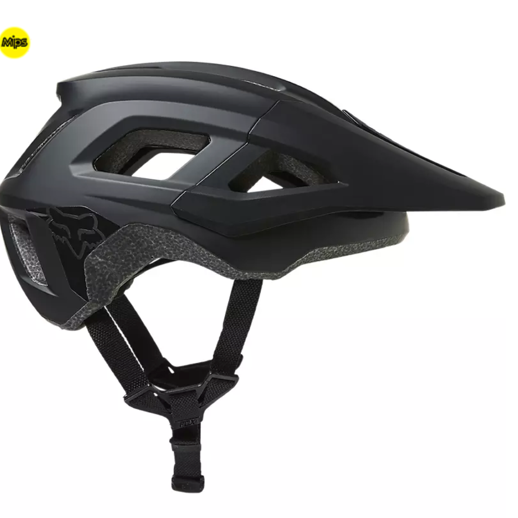 Fox Youth Mainframe MIPS