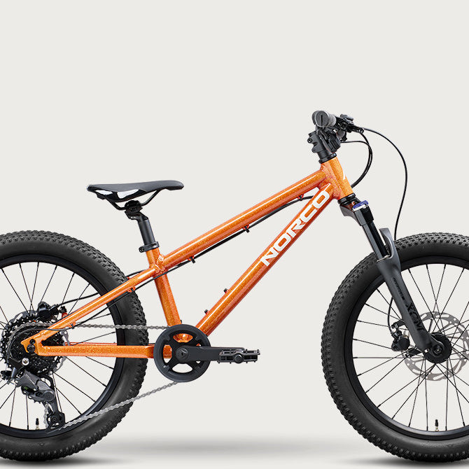 2027 Norco Charger 20
