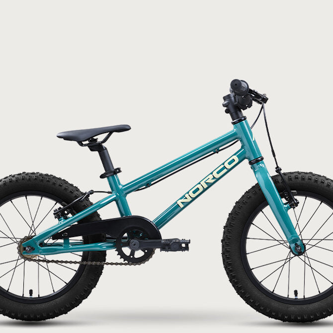 2027 Norco Storm 16