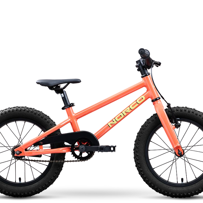 2027 Norco Storm 16 Coaster