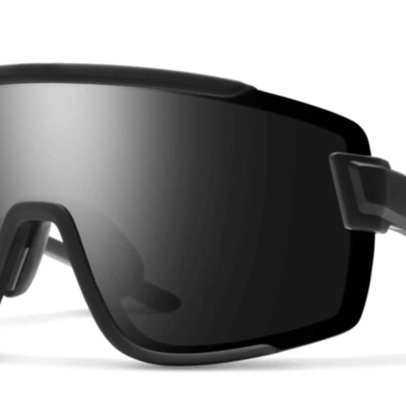 Smith Wildcat Sunglasses