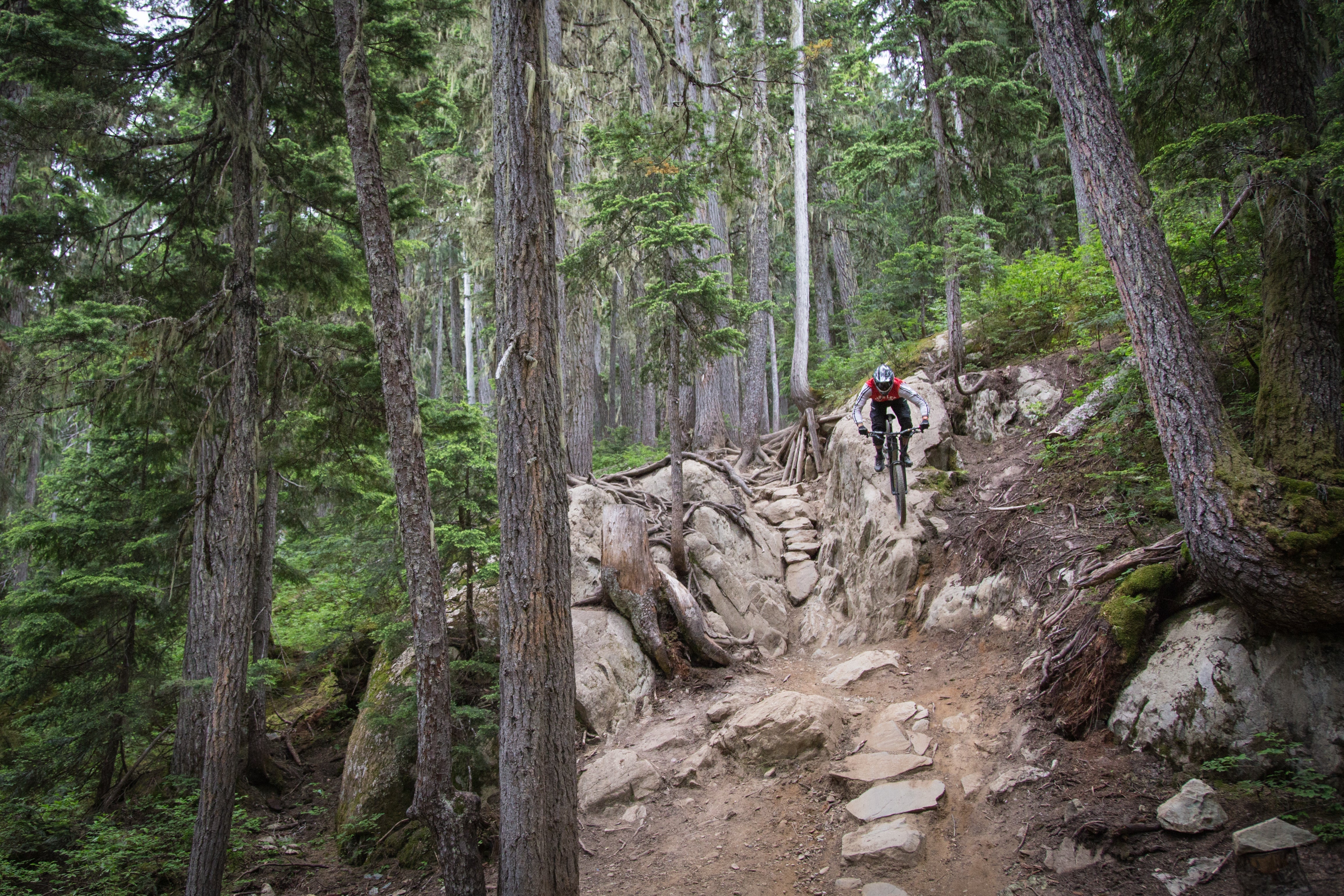 Air Shocks vs Coil Shocks: Which Is Right for BC Riding? A Complete Guide for Mountain Bikers