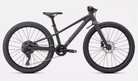 2022 Specialized Riprock 24