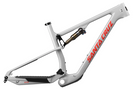 2024 Santa Cruz Blur CC 29 Frameset