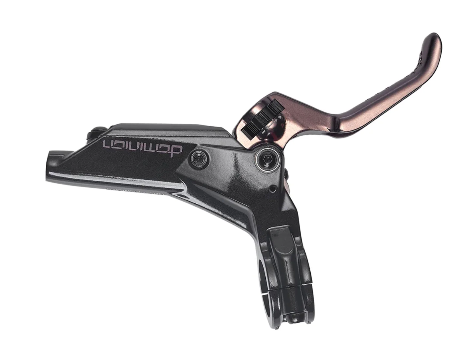 Hayes Dominion Master Cylinder + Brake Lever