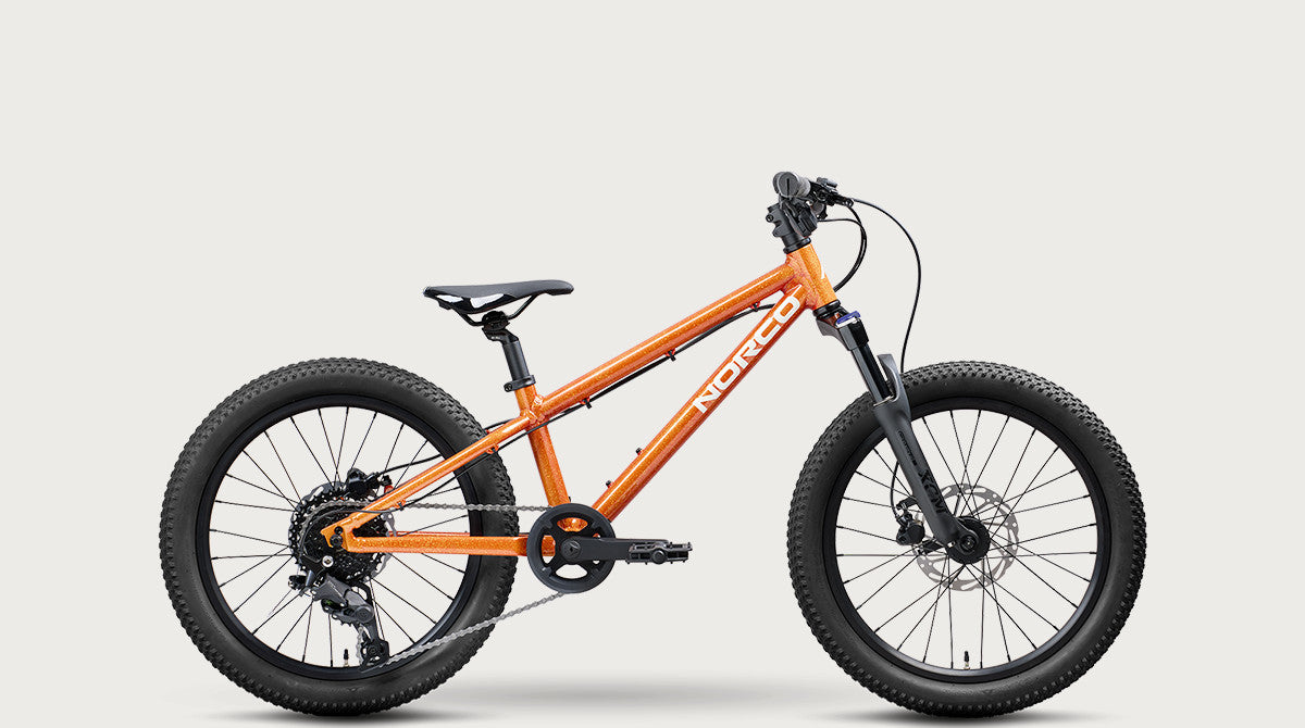 2027 Norco Charger 20