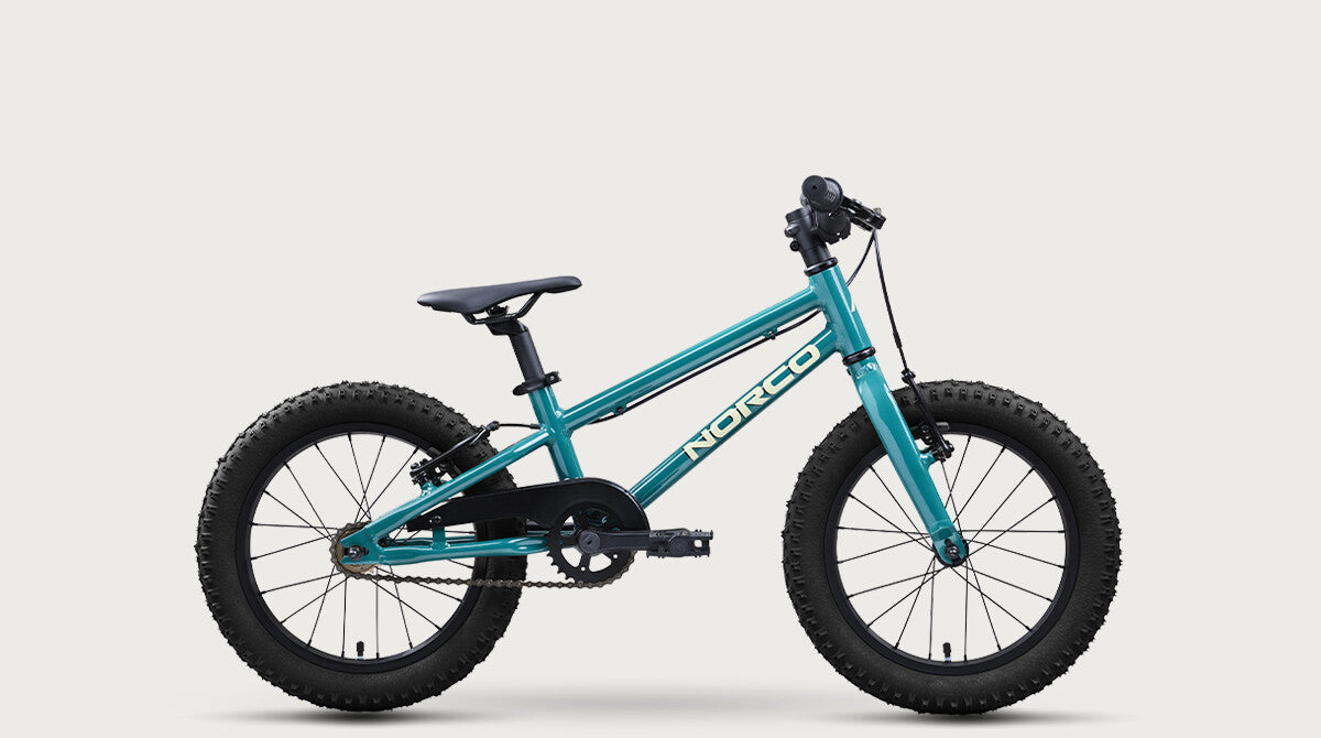 2027 Norco Storm 16