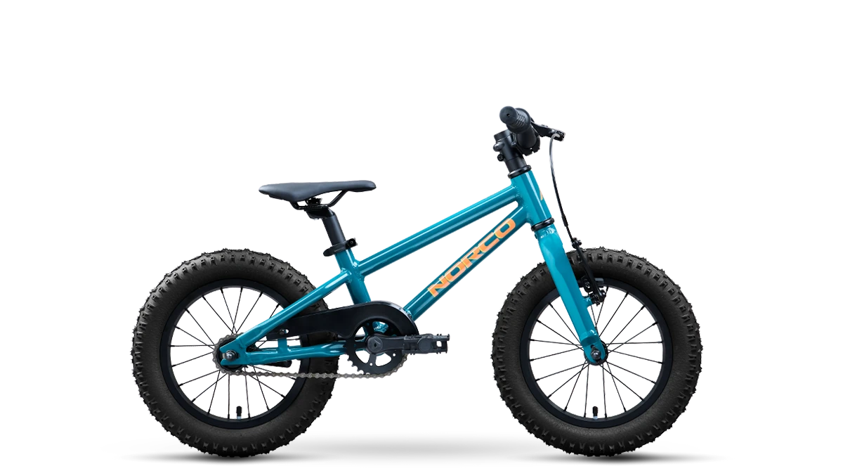 2027 Norco Storm 14 Coaster