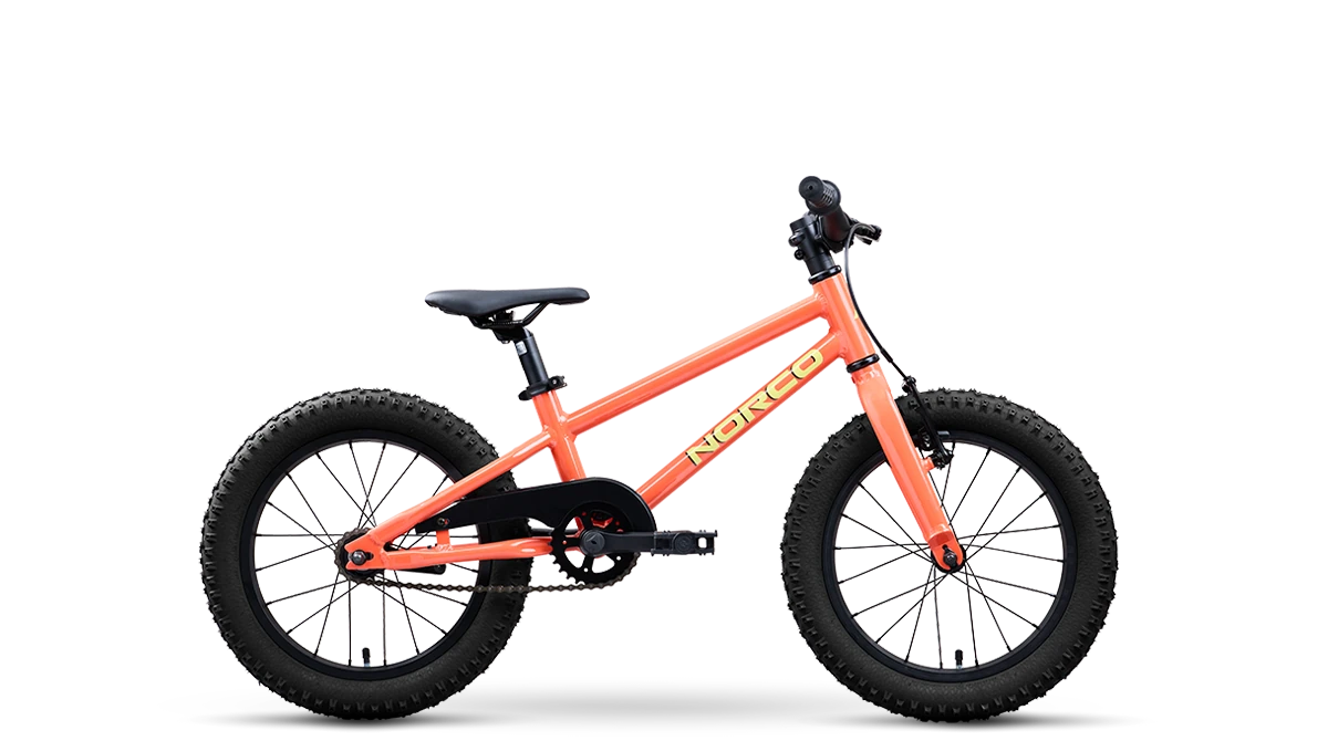 2027 Norco Storm 16 Coaster