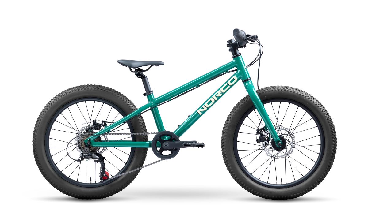 2027 Norco Storm 20 Disc