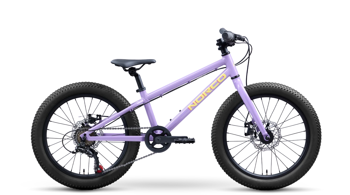 2027 Norco Storm 20 Disc