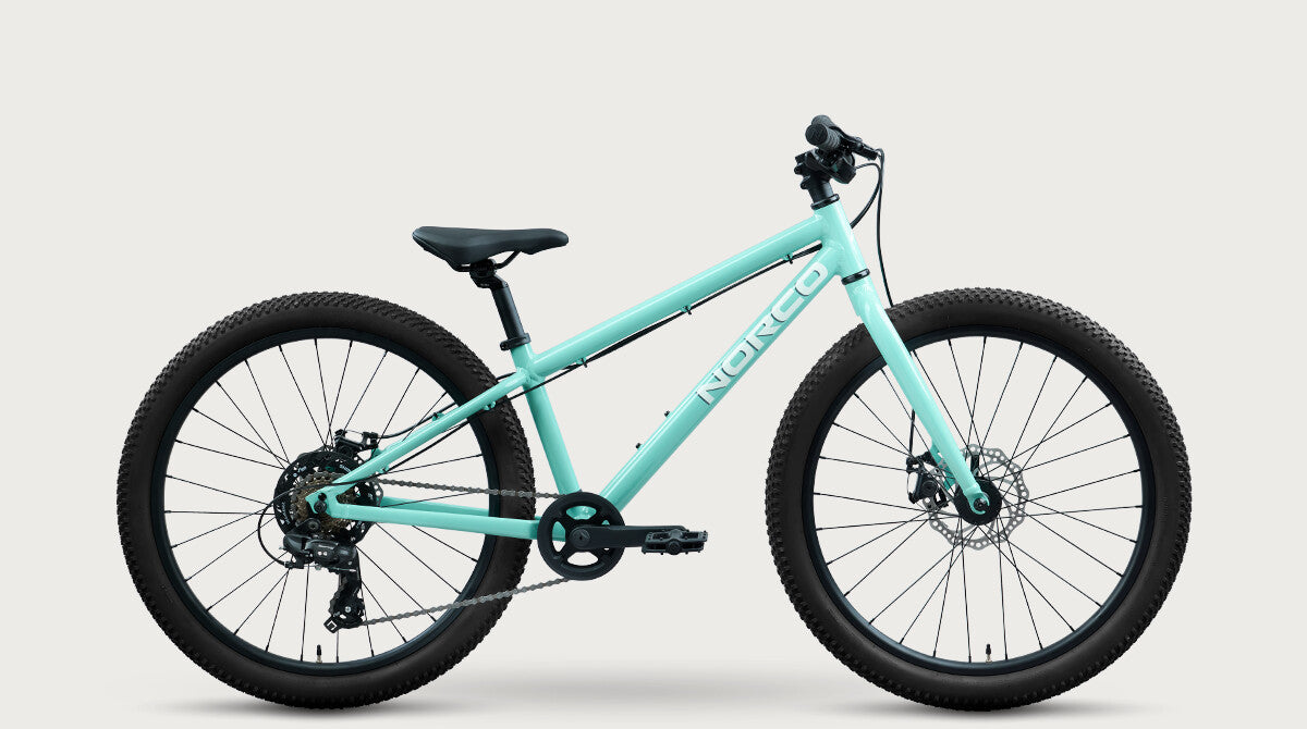 2027 Norco Storm 24 Disc