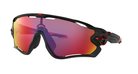 Oakley Jawbreaker Sunglasses