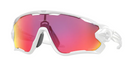 Oakley Jawbreaker Sunglasses