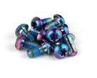 SRAM Titanium Rotor Bolts Rainbow