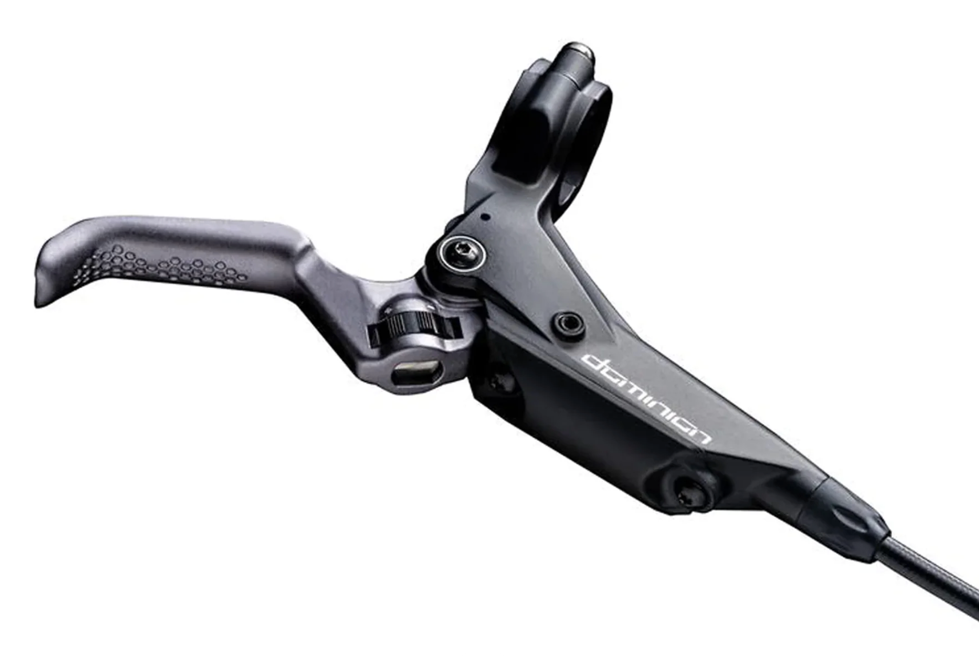 Hayes Dominion Master Cylinder + Brake Lever